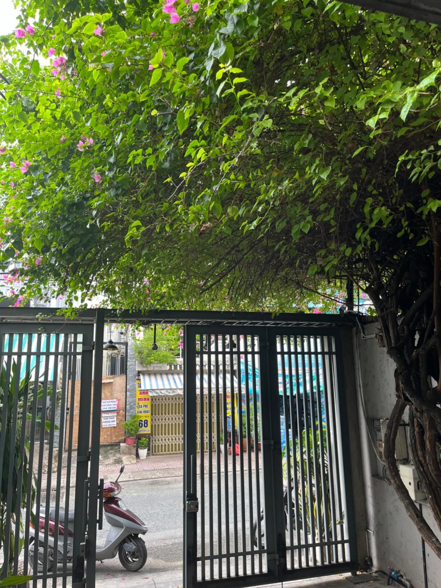 Zen Thao Dien Ho Şi Min Dış mekan fotoğraf